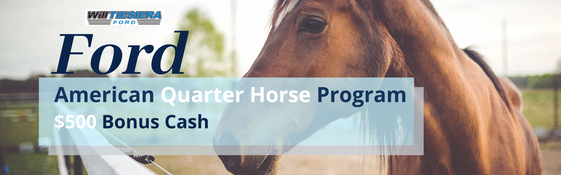Will Tiesiera Ford Quarter Horse Program
