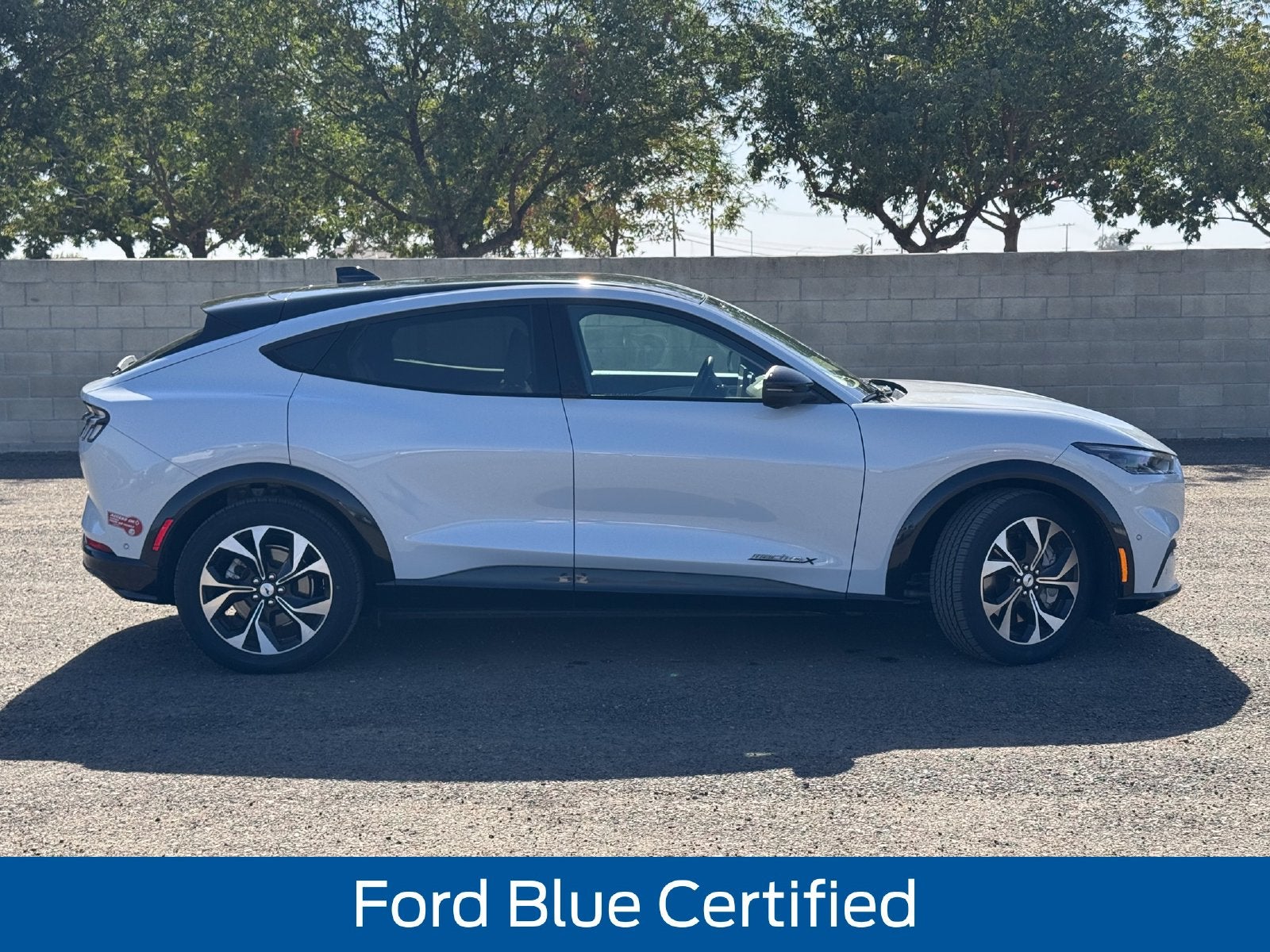 Used 2023 Ford Mustang Mach-E Premium AWD with VIN 3FMTK3SU7PMA57999 for sale in Tulare, CA